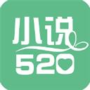 小说520